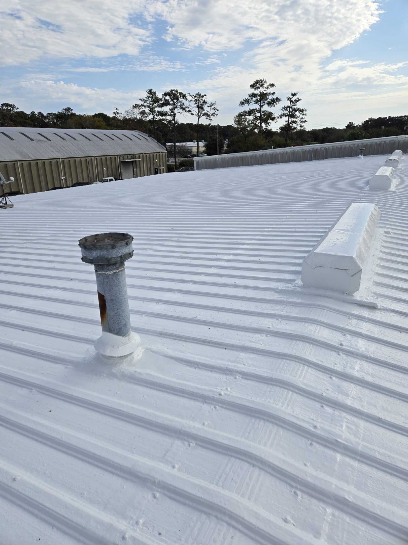 69e8bffd9a8f6_Roof Pic